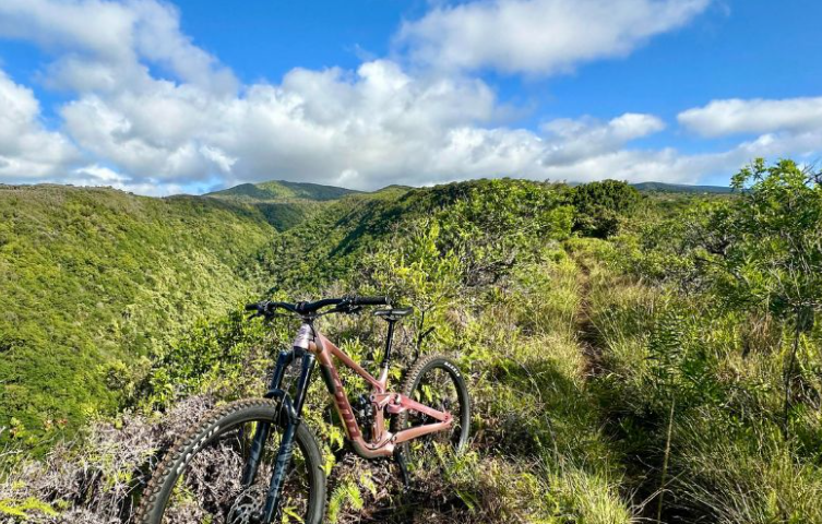 Pine Trails Enduro