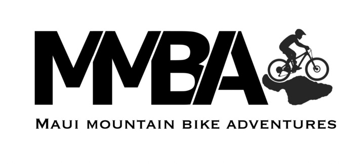 Virtual Tours Logo
